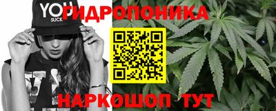 бошки Ливны