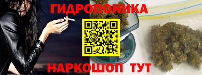 apvp Лесосибирск