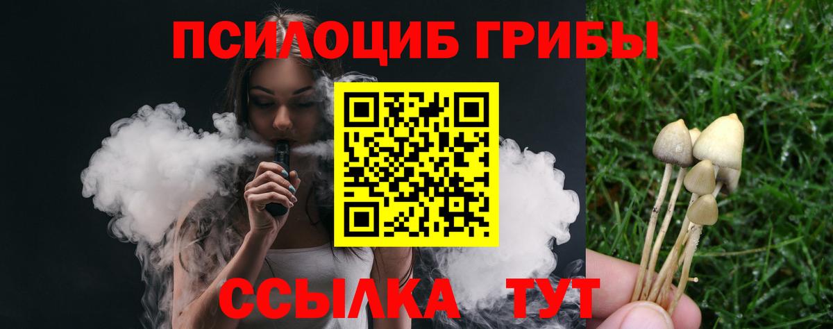 Галлюциногенные грибы прущие грибы Зеленогорск